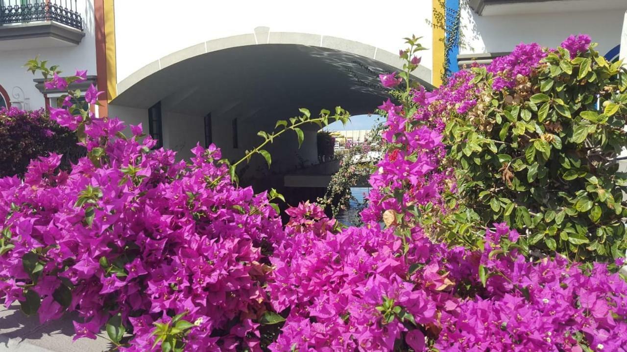 Casa Little Venice In Appartement